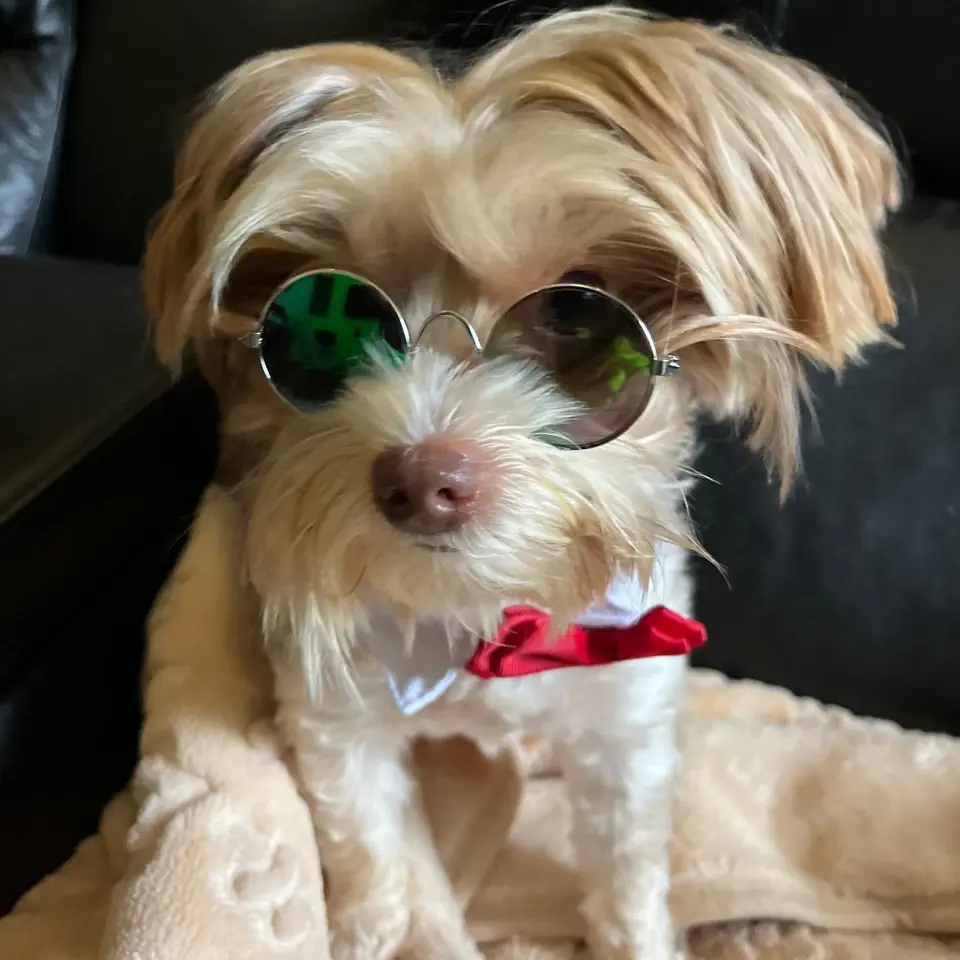 Coco