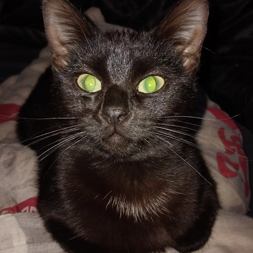 Lucifer