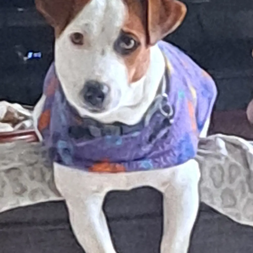 Milo