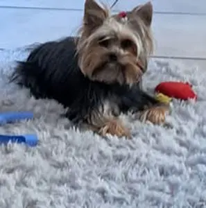 Tanya Skinner Lee Norman