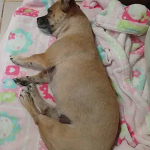 Mariska Tinka Myburgh