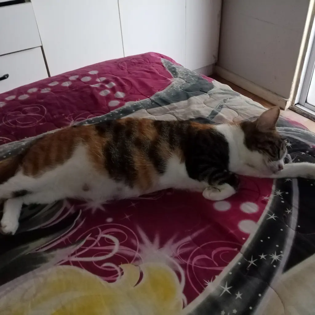 Mia 