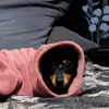 Pixie