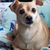 Zulu