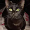 Lucifer