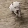 Skye