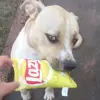 Tyson 