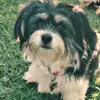 Chloe