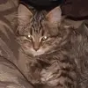 Molly