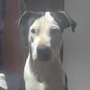 Xena