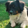 Duke