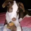 Nala 