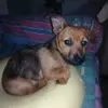 AMY