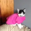 Koekie