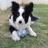 Spanner