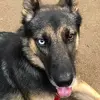 Roxy
