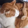 Pablo