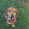 Vanya