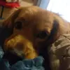 Billy