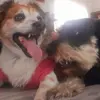 Kiara & Logan
