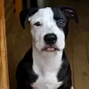 Kibou 