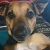 Rolo