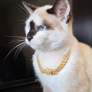 Marley 
