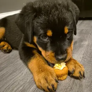 Luna