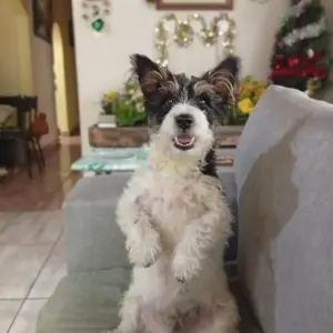 Max