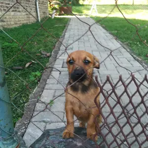 Amy
