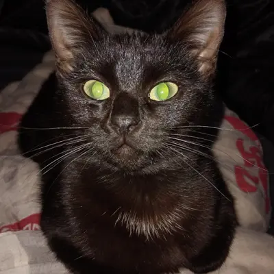 Lucifer