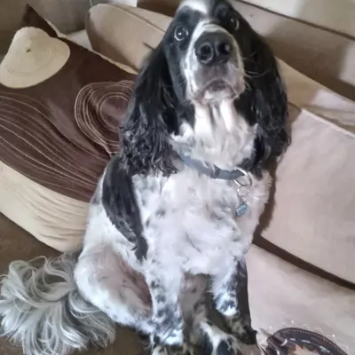 LEROY
