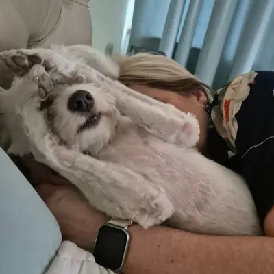 Lullu