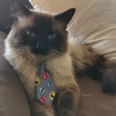 Pablo 