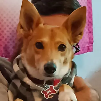 Lola