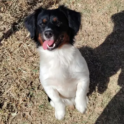 Duke
