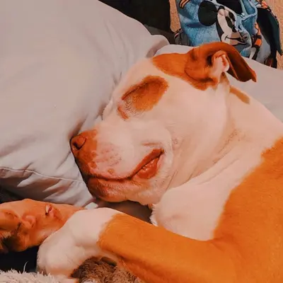 Marley Ernest 