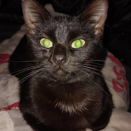 Lucifer