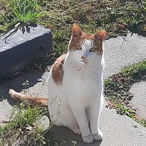 ❤ Gigi ❤