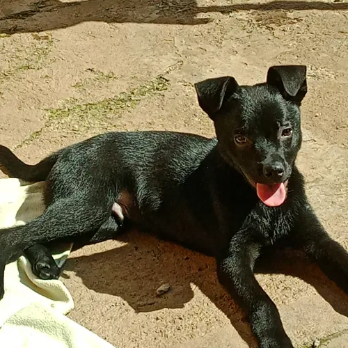 Jack