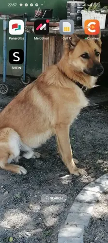 Yoda