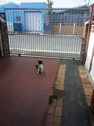 Max