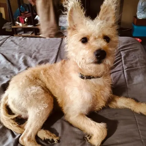 Max