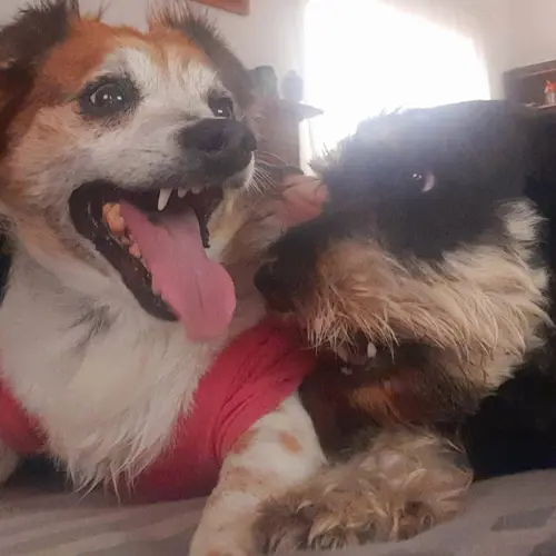 Kiara & Logan
