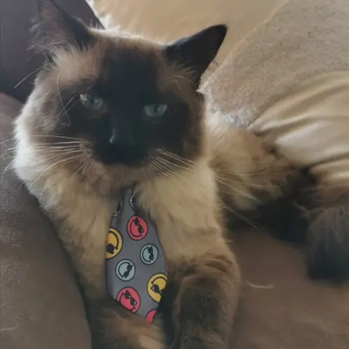 Pablo