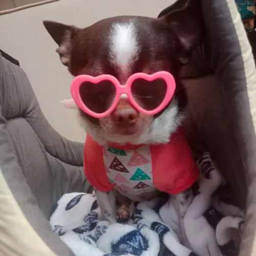Rosy