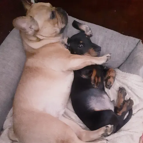 Hunter And Nova