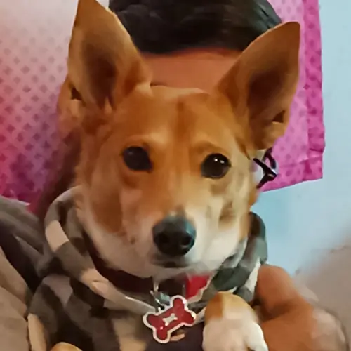 Lola