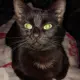 Lucifer