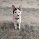 Fluff